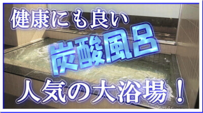 大阪 大浴場付き賃貸 大阪 大浴場付き賃貸